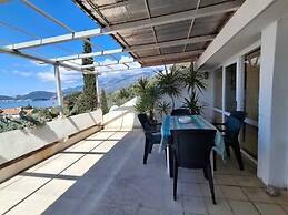 Apartments Andjus