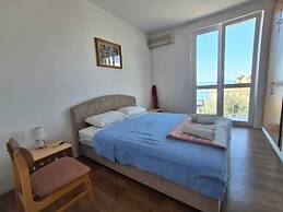 Apartments Andjus