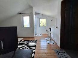 Apartments Andjus