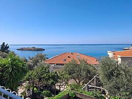 Apartments Andjus