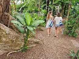 Mission Beach Lodge