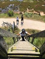 bedebike