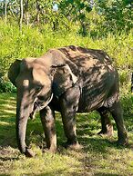 Sundaras Infinity Jungle Resort & Spa