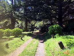 cabañasmapulauquen