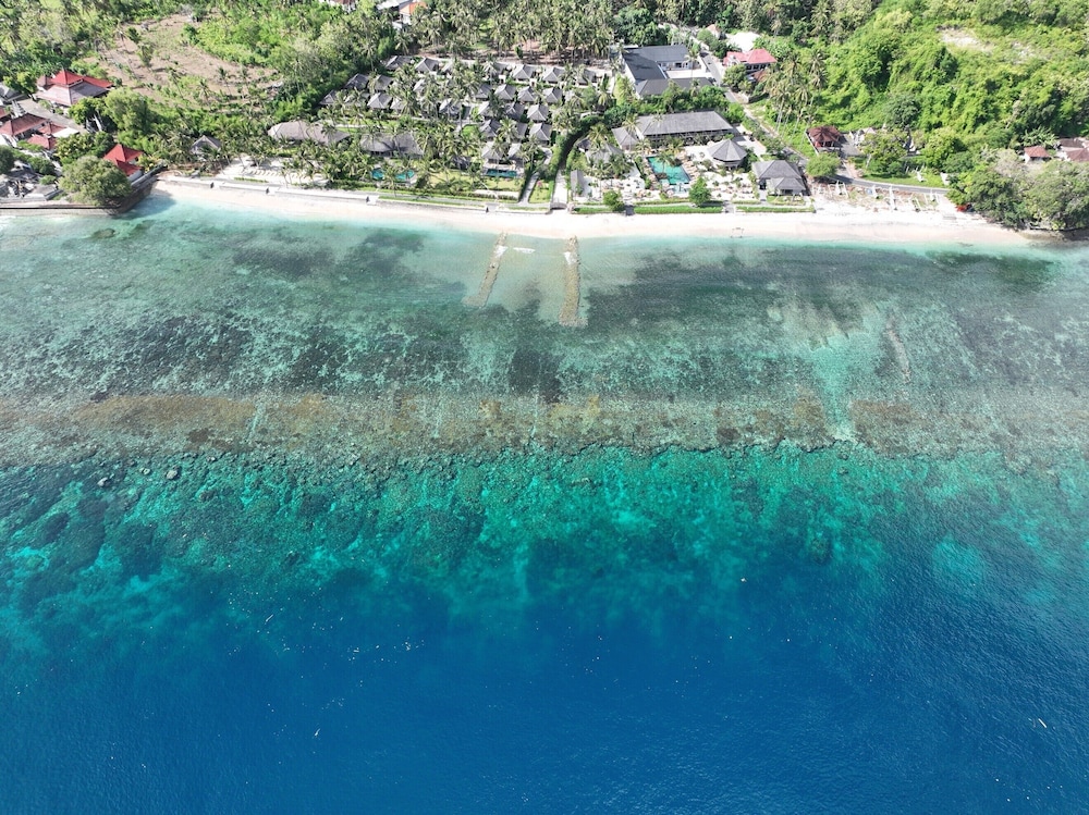 Seven Dreams A Pramana Experience