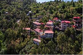 Maple Resort Chail