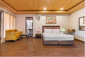 Maple Resort Chail
