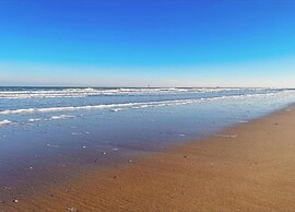 Seafront Elegance Knokke