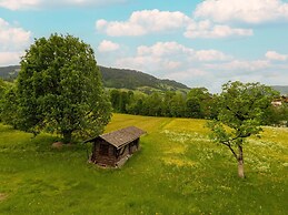 Apartment in Tyrol Near Kitzbuhel