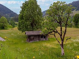 Apartment in Tyrol Near Kitzbuhel