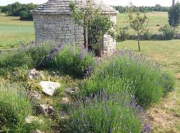 Authentic Istrian Rooms for Unforgettable Stays