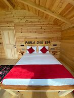 parla dağ evi