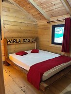 parla dağ evi