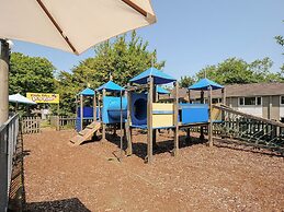 Satinwood