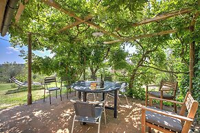 Relaxing Tuscan Country Near Florence