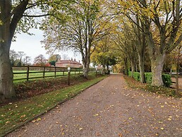Beechwood