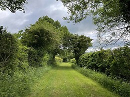 Beechwood