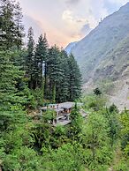 The Woods - Tirthan Valley