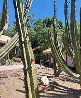 La Puerta Amacueca