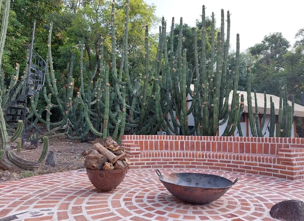 La Puerta Amacueca