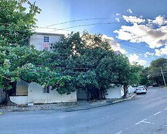 2BR Apartment near Mamitas Beach