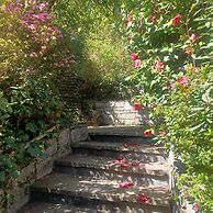 Villa in Ghiffa With Lake Maggiore Views