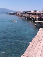 Assos Assinos