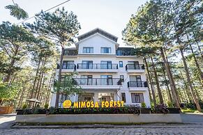 Mimosa Forest