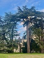Château Royal de Benays