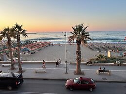 Beachfront Paradise