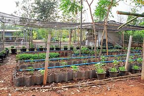 Narucha Farmstay