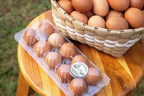 Narucha Farmstay