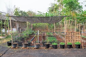 Narucha Farmstay