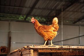 Narucha Farmstay