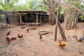 Narucha Farmstay
