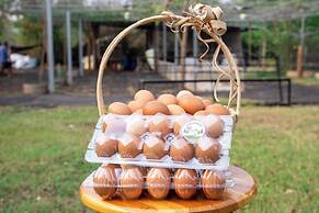 Narucha Farmstay
