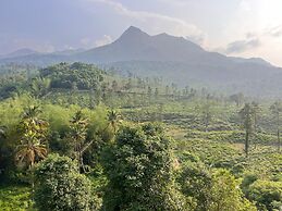 Mountain Serenity