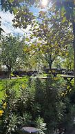 Navy Inn & Bungalows