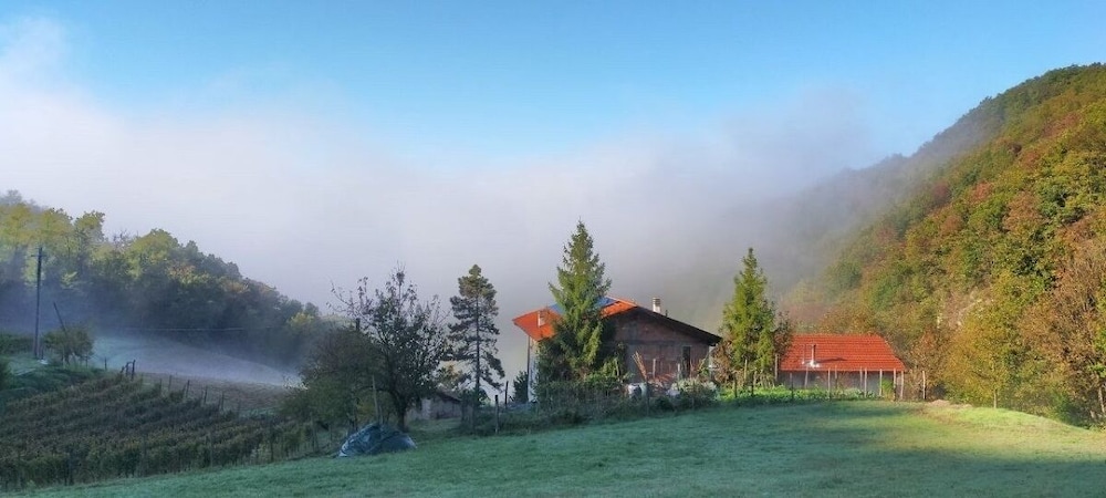 Il Tesoro di Miro