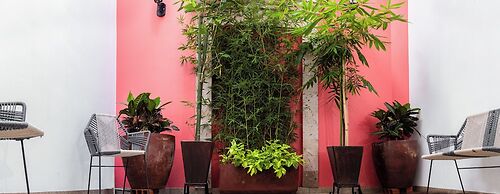Nueve Agaves Hotel