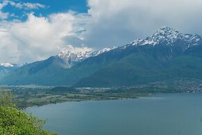 Blooms by the Lake by Rent all Como
