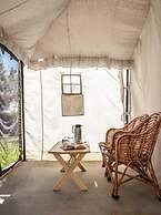 Camp Norling Stars - Koyul