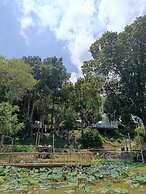 Krabi Campsite Glamping & Camping