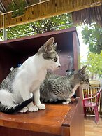 May Garden Homestay