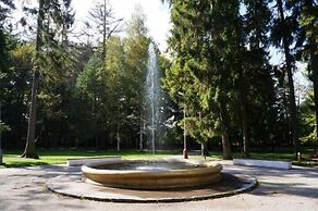 Donizetti C