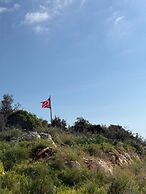 Gökkuşağı