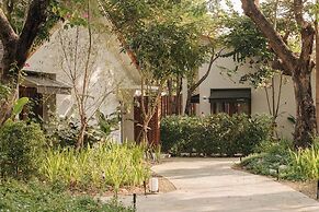 Baan phandao