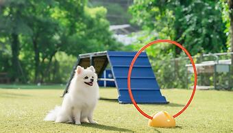 Gapyeong High Mong Glamping & Camping