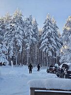 SKOG - Aurora igloos