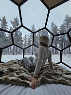 SKOG - Aurora igloos